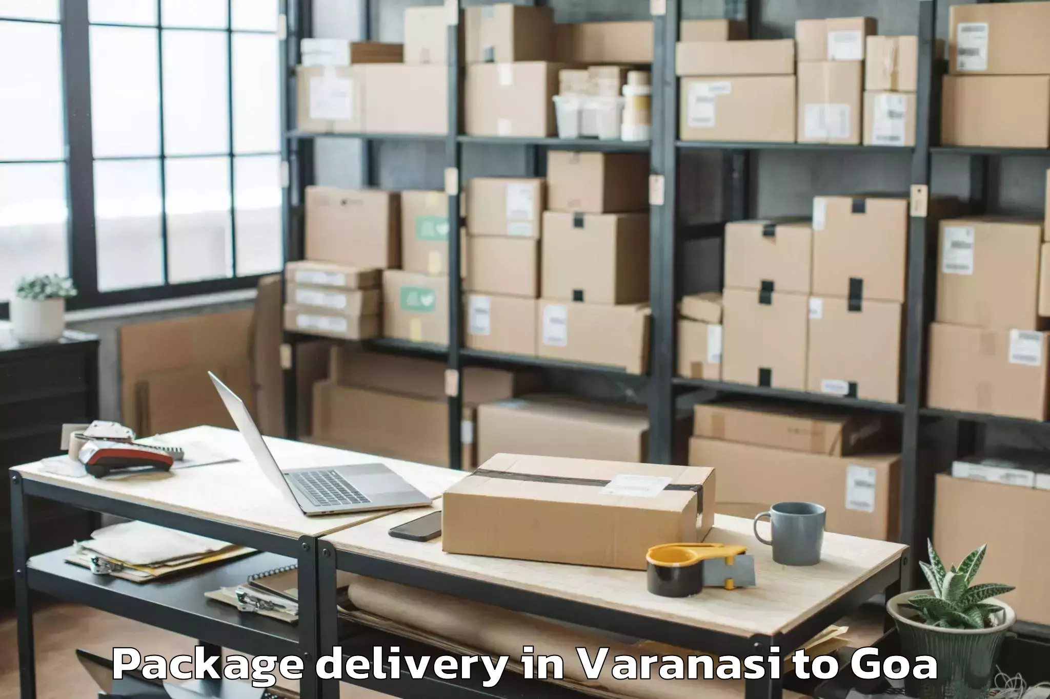 Quality Varanasi to Goa University Package Delivery